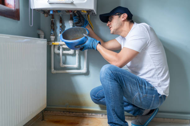 Best Local Plumber Services  in Pioche, NV
